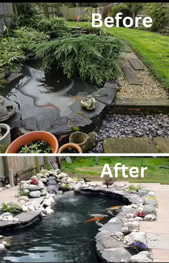 Case Study - Summer Koi Pond Renovation