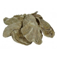 Kockney Koi Oyster Shell 1kg + 2kg Bag