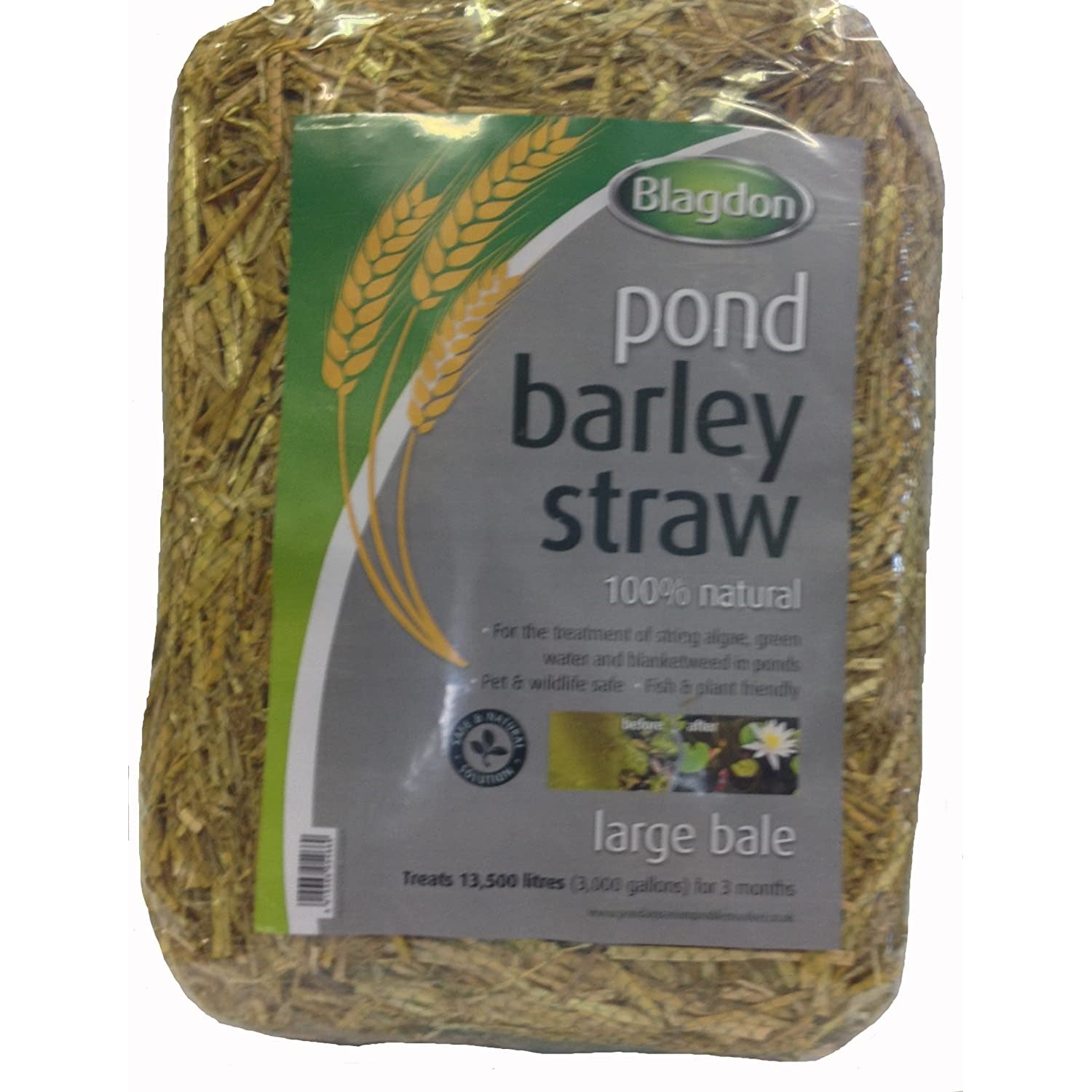 Blagdon Barley Straw Bale