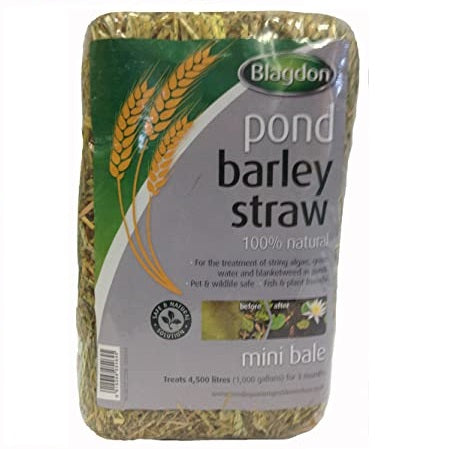 Blagdon Barley Straw Bale – Natural Algae Control for Ponds