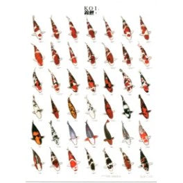 Large Koi Posters Laminated