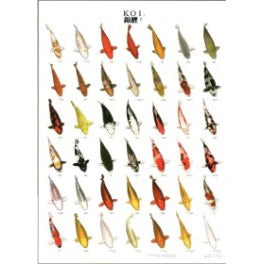 Large Koi Posters Laminated