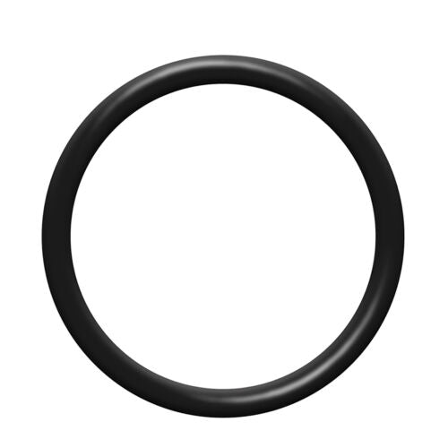 O-Ring Seal